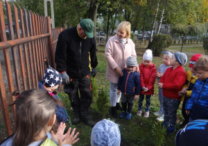 Dzieci słuchają zagadek o drzewach